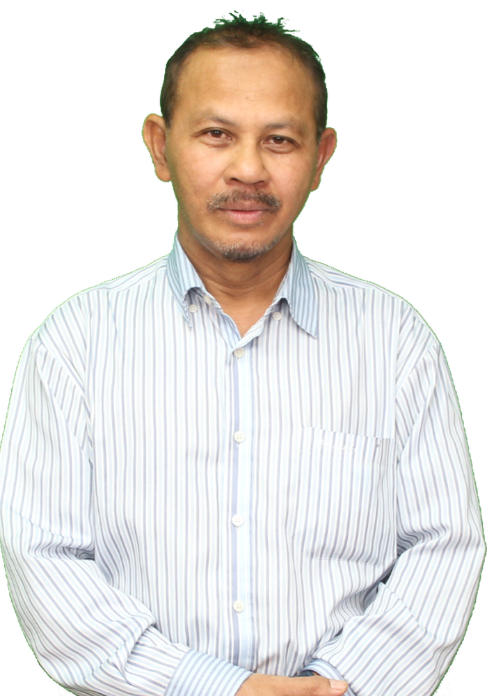 Prof. Ir. Dr. Ismail Bin Musirin